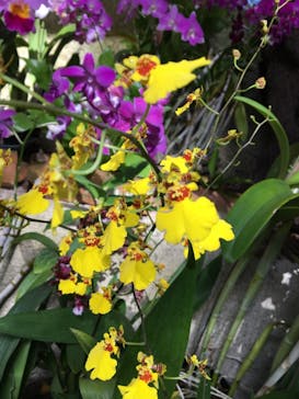 ビオスの丘に投稿された画像（2020/12/26）