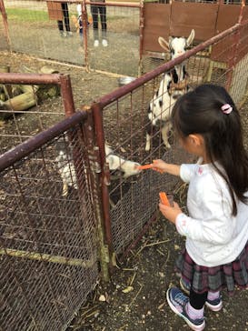 ビオスの丘に投稿された画像（2020/12/26）