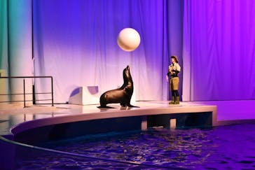 アクアワールド茨城県大洗水族館に投稿された画像（2020/12/26）