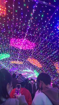 よみうりランド 遊園地に投稿された画像（2020/12/26）