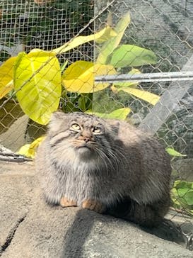 神戸どうぶつ王国に投稿された画像（2020/12/26）