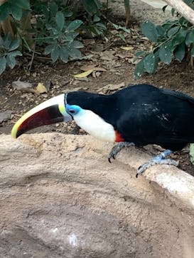 神戸どうぶつ王国に投稿された画像（2020/12/26）