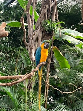 神戸どうぶつ王国に投稿された画像（2020/12/26）