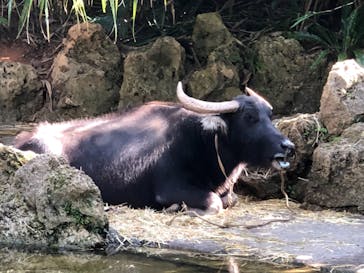 ビオスの丘に投稿された画像（2020/12/26）