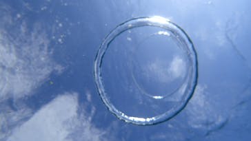 ダイビングショップ Sea Free（シーフリー）に投稿された画像（2020/12/26）