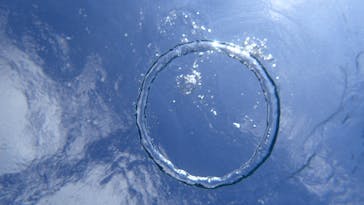 ダイビングショップ Sea Free（シーフリー）に投稿された画像（2020/12/26）