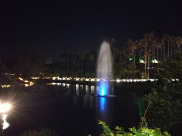 美らヤシパークオキナワ・東南植物楽園に投稿された画像（2020/12/26）