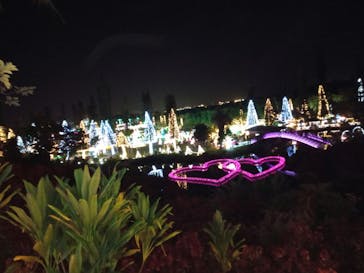 美らヤシパークオキナワ・東南植物楽園に投稿された画像（2020/12/26）