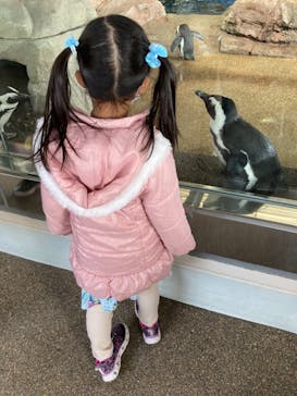 京都水族館に投稿された画像（2020/12/26）