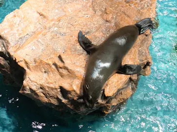 すみだ水族館に投稿された画像（2020/12/26）