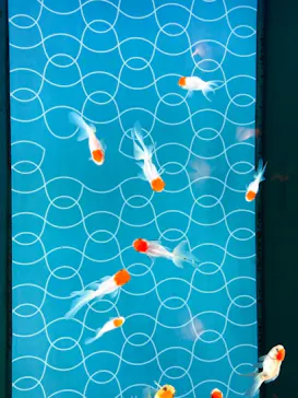 すみだ水族館に投稿された画像（2020/12/26）