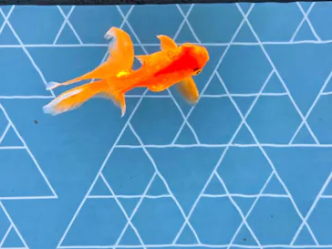 すみだ水族館に投稿された画像（2020/12/26）