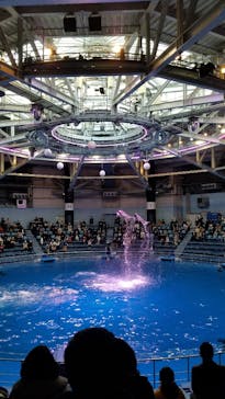 マクセル アクアパーク品川に投稿された画像（2020/12/26）