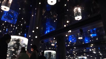 マクセル アクアパーク品川に投稿された画像（2020/12/26）