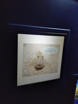 サンシャイン水族館に投稿された画像（2020/12/26）