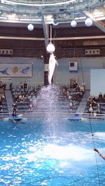 マクセル アクアパーク品川に投稿された画像（2020/12/26）