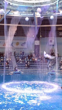 マクセル アクアパーク品川に投稿された画像（2020/12/26）