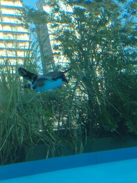 サンシャイン水族館に投稿された画像（2020/12/26）