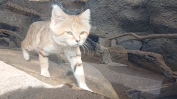 神戸どうぶつ王国に投稿された画像（2020/12/26）