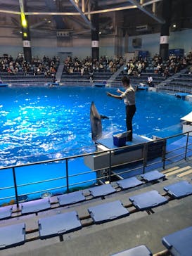 マクセル アクアパーク品川に投稿された画像（2020/12/26）