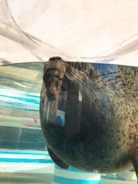 京都水族館に投稿された画像（2020/12/26）