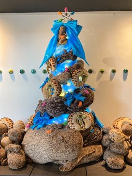 京都水族館に投稿された画像（2020/12/26）