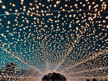 東京メガイルミに投稿された画像（2020/12/26）