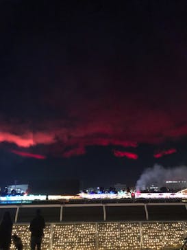 東京メガイルミに投稿された画像（2020/12/26）