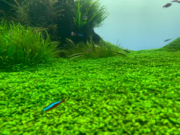 すみだ水族館に投稿された画像（2020/12/26）