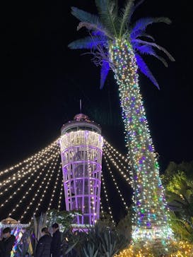 江の島シーキャンドルに投稿された画像（2020/12/26）