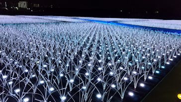 東京メガイルミに投稿された画像（2020/12/26）