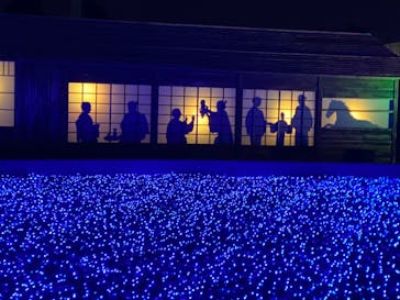 東京メガイルミに投稿された画像（2020/12/26）