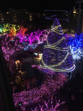 よみうりランド 遊園地に投稿された画像（2020/12/26）