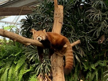 神戸どうぶつ王国に投稿された画像（2020/12/26）