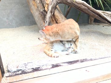 神戸どうぶつ王国に投稿された画像（2020/12/26）