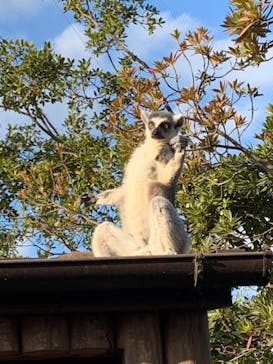 神戸どうぶつ王国に投稿された画像（2020/12/26）