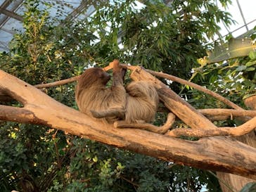 神戸どうぶつ王国に投稿された画像（2020/12/26）