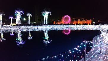 よみうりランド 遊園地に投稿された画像（2020/12/26）