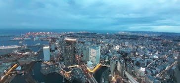 横浜ランドマークタワー 69階展望フロア スカイガーデンに投稿された画像（2020/12/26）