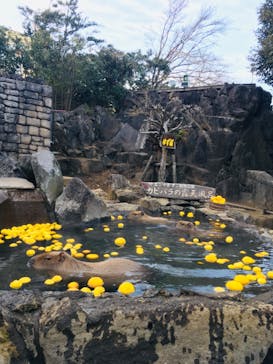 伊豆シャボテン動物公園に投稿された画像（2020/12/26）