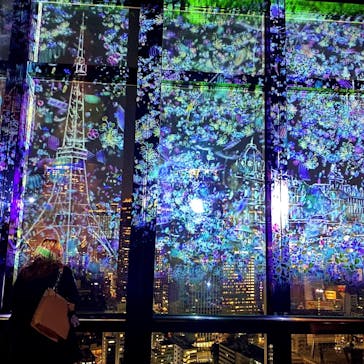 東京タワーに投稿された画像（2020/12/26）