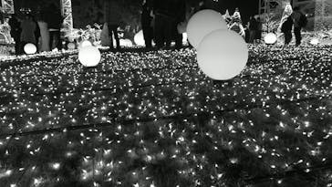 よみうりランド 遊園地に投稿された画像（2020/12/26）