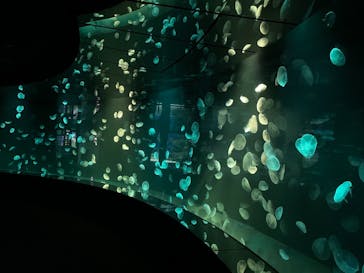 サンシャイン水族館に投稿された画像（2020/12/26）