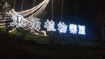 美らヤシパークオキナワ・東南植物楽園に投稿された画像（2020/12/26）