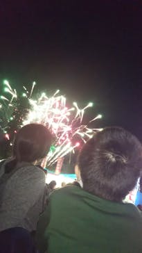 美らヤシパークオキナワ・東南植物楽園に投稿された画像（2020/12/26）