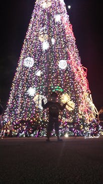 美らヤシパークオキナワ・東南植物楽園に投稿された画像（2020/12/26）