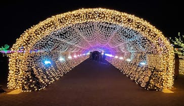 東京メガイルミに投稿された画像（2020/12/26）