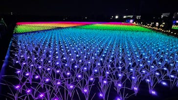 東京メガイルミに投稿された画像（2020/12/26）