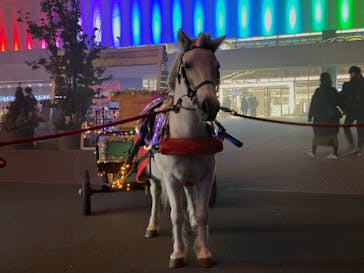 東京メガイルミに投稿された画像（2020/12/26）