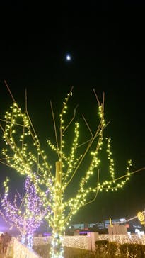 東京メガイルミに投稿された画像（2020/12/26）